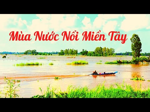 Mùa Nước Nổi Miền Tây | Cảnh Đẹp Miền Tây | Tú Rio Vlogs