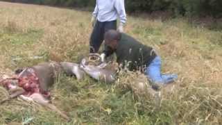 TC Deer Rescue 2011