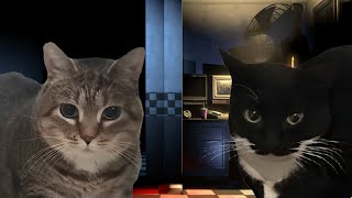 Uiiaiouiiiai Vs Maxwell The Cat Fnf Shut The Door