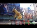 Jin Wu Koon Lion Dance, World Square Sydney