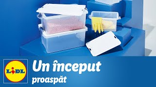 Mai Curat, Mai Ordonat Din 11 Ianuarie 2021