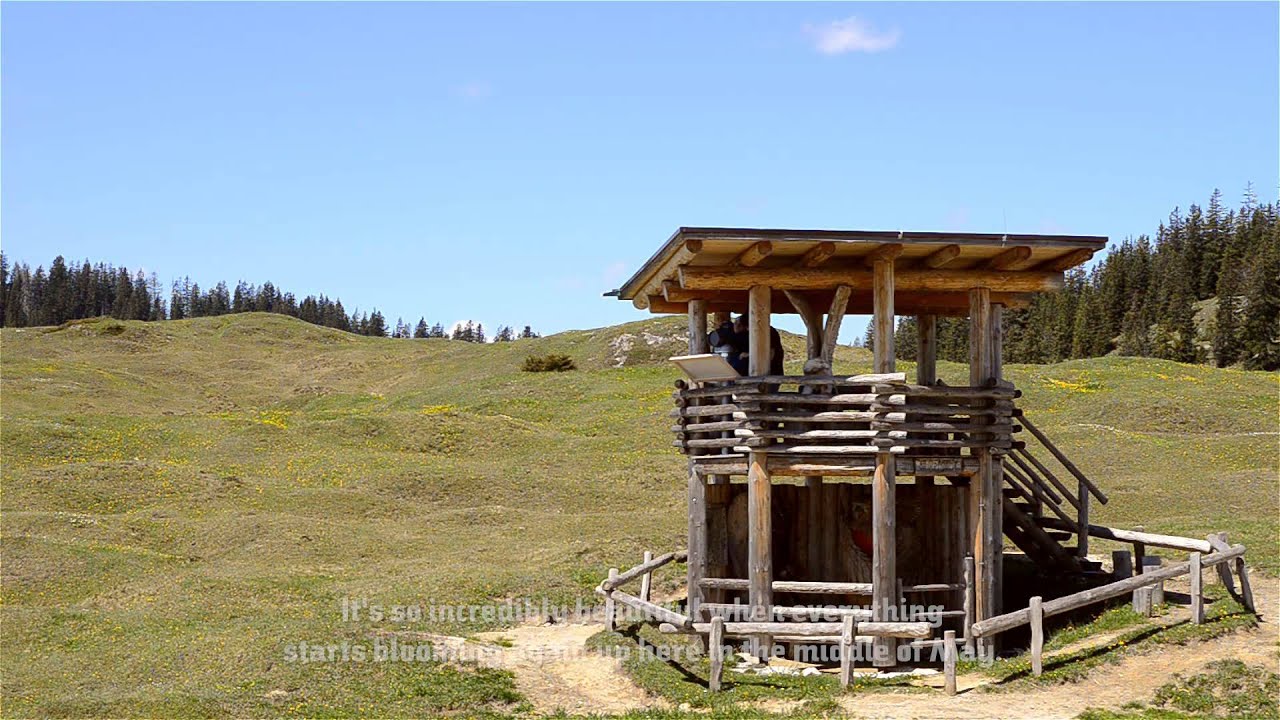 Adlerweg Tirol wandern -  Weitwanderwege in Österreich 🏔