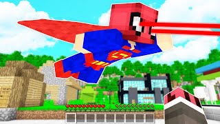 1 Günlüğüne Süper Kahraman Olmak - Minecraft