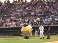 Charleston riverdogs