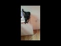 makithecat