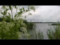 Naarder Lake ( panasonic sdr s50 ) video test