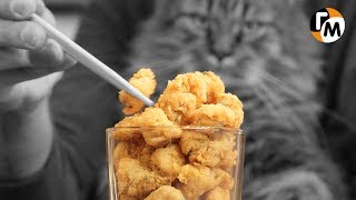 ПОПКОРН ИЗ КУРИЦЫ: вкуснее, чем KFC стрипсы! И ДЕШЕВЛЕ! Куриный Попкорн — Голодный Мужчина (ГМ #187) ПОПКОРН ИЗ КУРИЦЫ: вкуснее, чем KFC стрипсы! И ДЕШЕВЛЕ! Куриный Попкорн — Голодный Мужчина (ГМ #187)