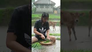 Rain Sounds For Deep Sleep,Nature Sounds