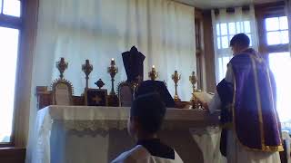 The Traditional Latin Mass for Monday of holy Week - Apr. 6, 2020