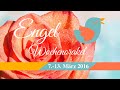 Engel-Wochenorakel vom 7.-13. März 2016 - Conny Koppers