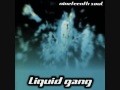 Liquid Gang - The Truth