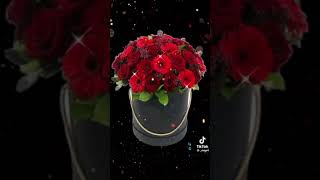 26 Февраля 2024 Г.