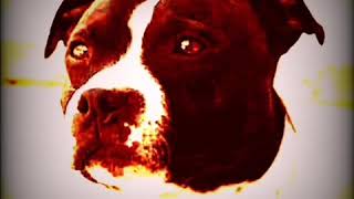Staffordshire Bull Terrier