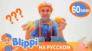 Песня “Что Тяжелее?” | Обучающие Песни Для Детей | Blippi Russian