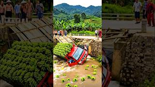 Banana Truck Disaster Overloaded Bridge Collapses In Seconds