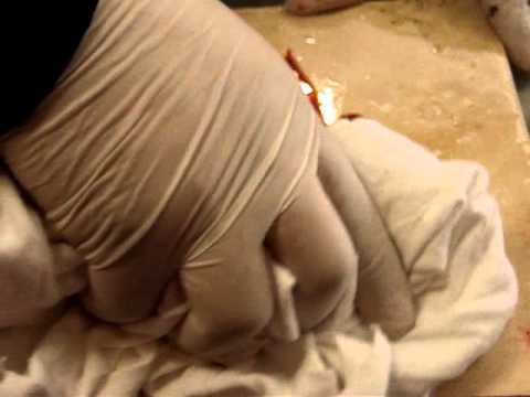 ... COUNTER TOP/ TILE STAIN RESISTANT COATING MAX 1618 AB RESIN SYSTEM