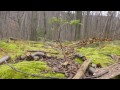 Breakneck Ridge - a Hymn for the Hudson Highlands & Pete Seeger