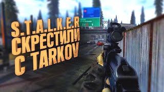 Stalker Скрестили C Tarkov