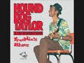 Hound Dog Taylor - Freddie's Blues