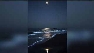 Champagne Coast - Blood Orange Sped Up