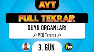 MEB Biyoloji Kitabı Duyu Organı Taraması F10  Tekrar Kampı