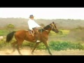 ERNESTO GUERRA EL ARPA DE AMERICA - P... ERNESTO GUERRA EL ARPA DE AMERICA - P...