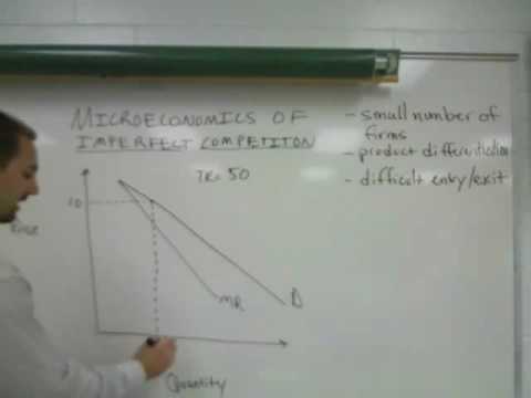 wage determination in perfect and imperfect wage determination in perfect and imperfect