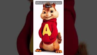 Which Chipmunk Is Getting The Best Head? Pt 2