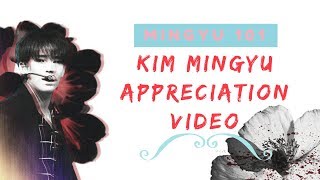 SEVENTEEN Mingyu 101 ? Kim Mingyu Appreciation Video