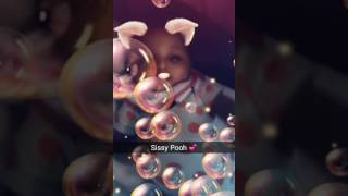 Journey On Snap