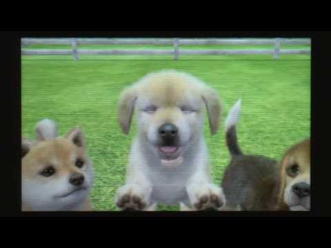 Nintendogs Nintendogs