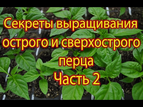 Зубная гранулема - причины, симптомы, диагностика и лечение Детская одежда по дропшиппингу из турции