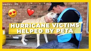 The Moment These Hurricane Flood Victims Were Helped By PETA