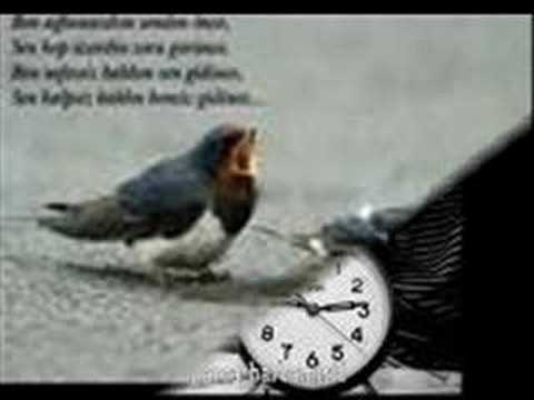 HATAYLI OKAN HATAYLI OKAN #1