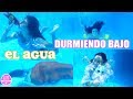 Viviendo debajo del agua !! 💦 ¿Como sería si viviese bajo el agua? LA DIVERSION DE MARTINA