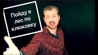 Алексей Петрухин & Губерния - Пойду В Лес По Клюковку