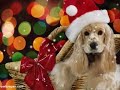 Merry Christmas And Happy New Year - Warm Seasonal Wishes ecards - Season's Greetings Greeting Cards Merry Christmas And Happy New Year - Warm Seasonal Wishes ecards - Season's Greetings Greeting Cards