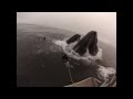 Whales almost eat Divers (Original Version)