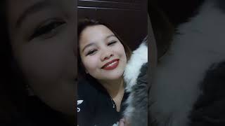 Oreo And Ginger Really Likes My Hair