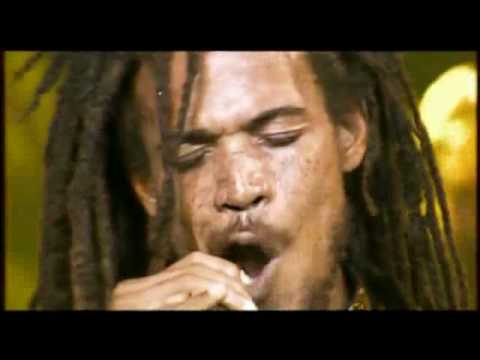 Live Paleo Festival (Concierto completo)