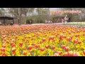 国営讃岐まんのう公園の魅力　《香川県》