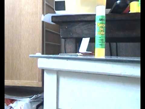 Stuart Little 2 - Celine Dion - I`m Alive + Hold on to the good...