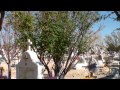 VIDEO IMPACTANTE DE UN DIABLO EN EL PANTEON HDV_0102.MP4
