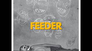 Watch Feeder Quiet video