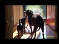 Lilly, Bella, Meli Jo and Brooklyn 2010~2011.wmv