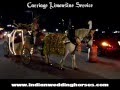 Indian Wedding Horse and Cinderella Carriage - Indian Wedding 12 - Carriage Limousine Service