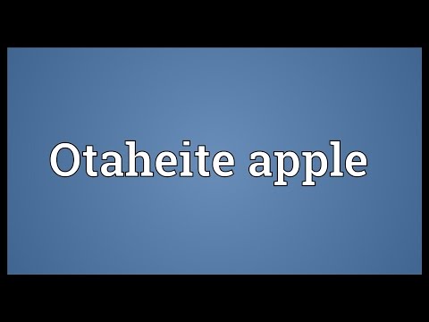 Header of Otaheite