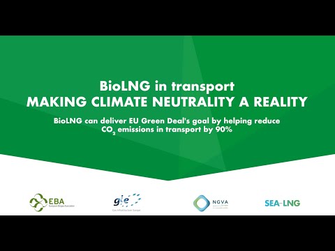 BioLNG in Transport