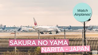 Watch Airplanes Fly Near Narita Airport from Sakura no Yama in Japan