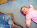 perro vs bebe